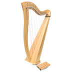 27 String McHugh Harp Round Back