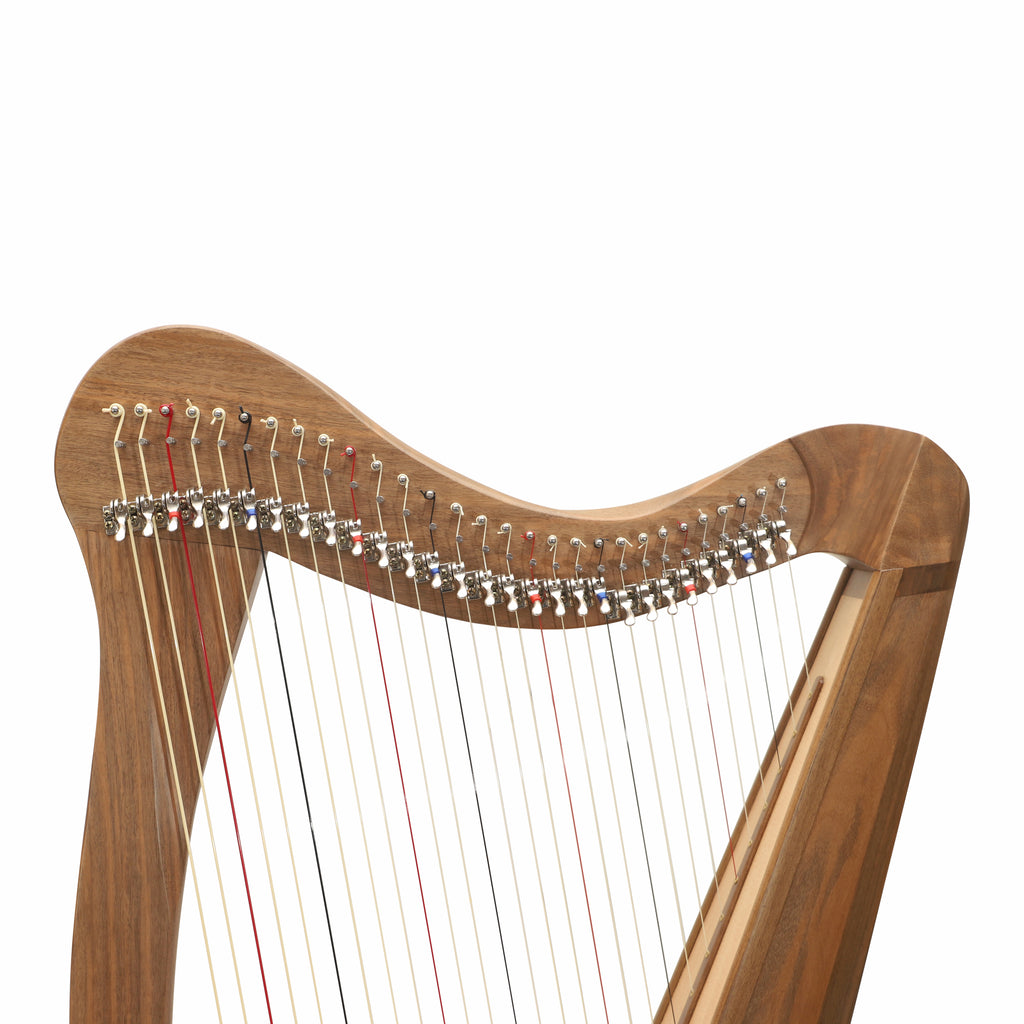 29 String Ard Ri Harp, Celtic Harp