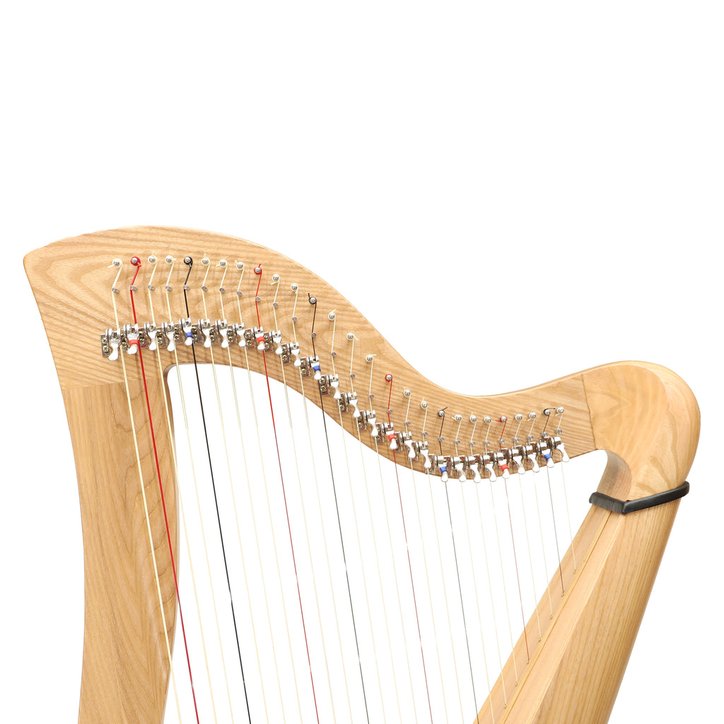 27 String McHugh Harp Round Back