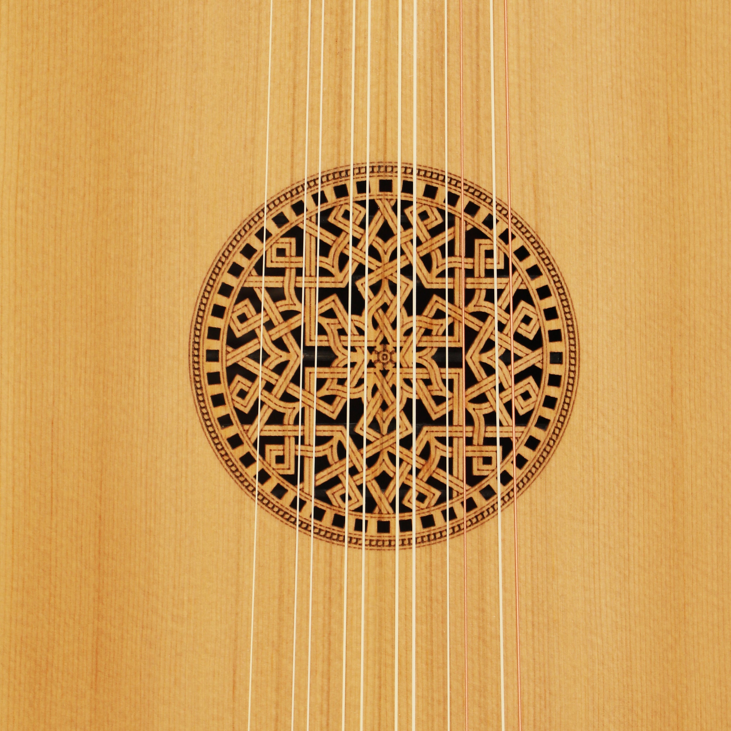 Muzikkon Renaissance Lute 6 Course Left Hand After Hieber