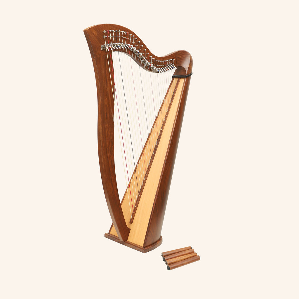 27 String McHugh Harp Round Back