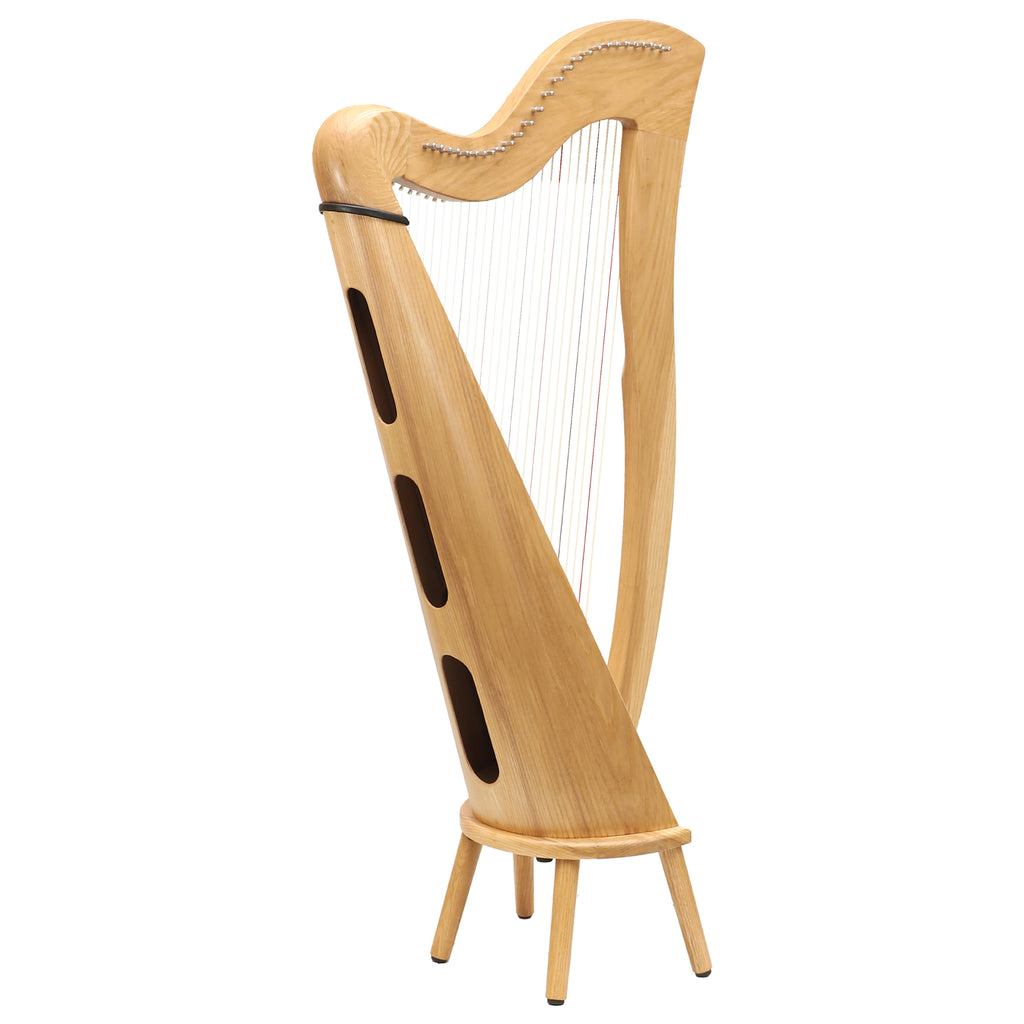 27 String McHugh Harp Round Back