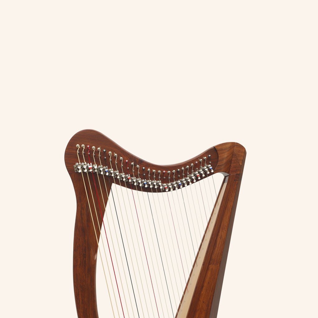 27 String Ard Ri Harp