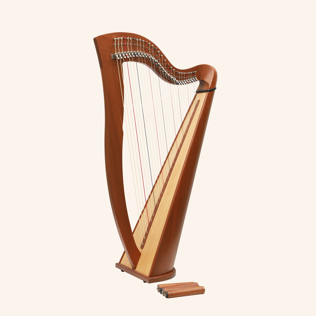 29 Strings McHugh Harp Round Back