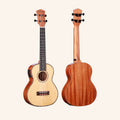 Heartland Concert Ukulele Mahogany with EQ