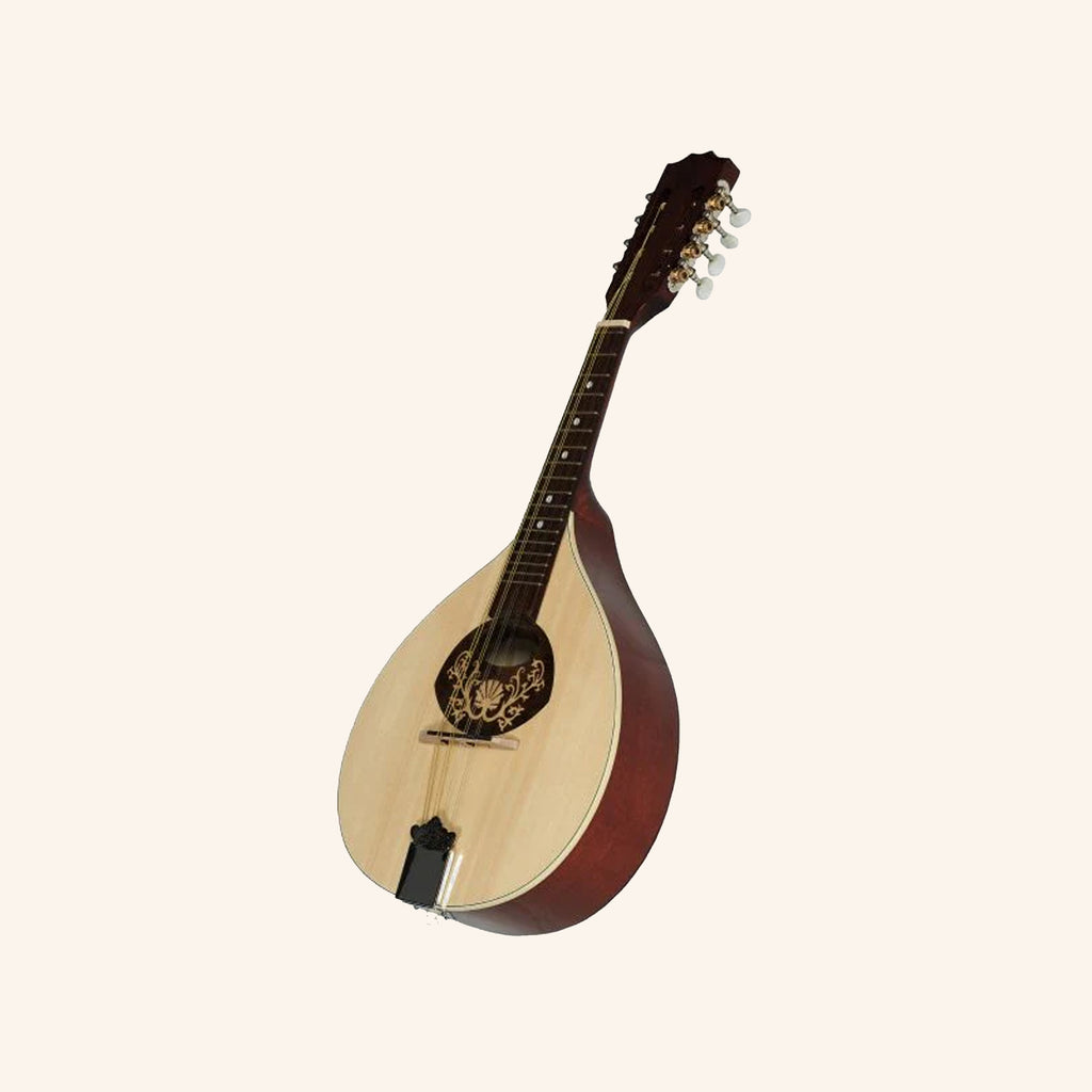Muzikkon Portuguese mandolin 1