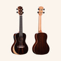 Heartland Concert Ukulele Ebony with EQ