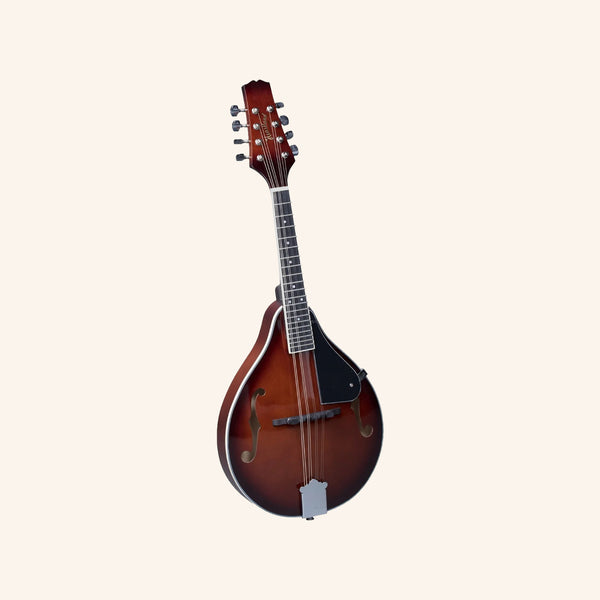 Heartland Mandolin Linden Acoustic Matt Finish