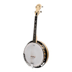 Heartland Deluxe Irish Tenor Banjo 17 Frets with 24 Bracket and Closed Solid Back Maple Finish
