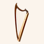 29 String Gothic Harp