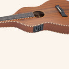 Heartland Weissenborn guitar - The Stage Master