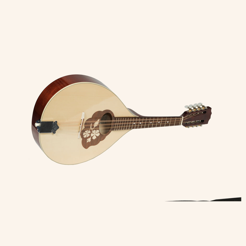 Muzikkon Mandola