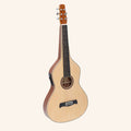 Heartland Weissenborn guitar The Session Master