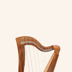 29 String McHugh Harp Square Back