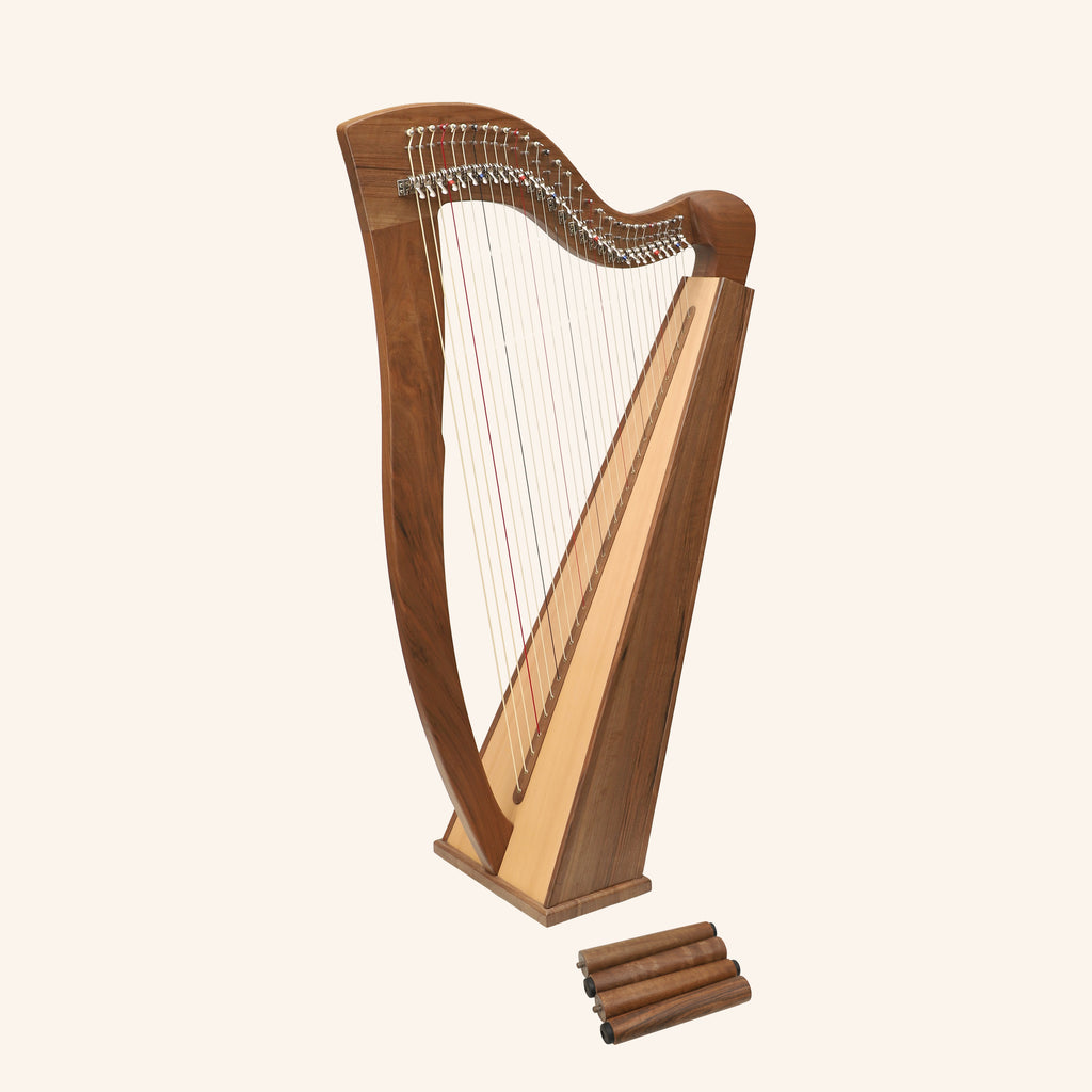 29 String McHugh Harp Square Back
