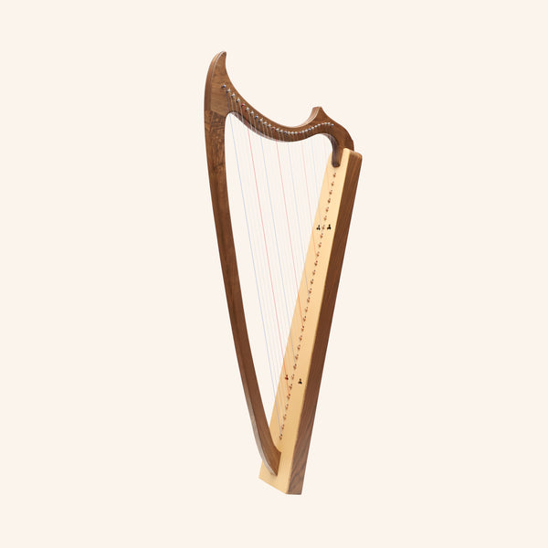 29 String Gothic Harp