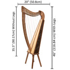 22 String Boru Harp