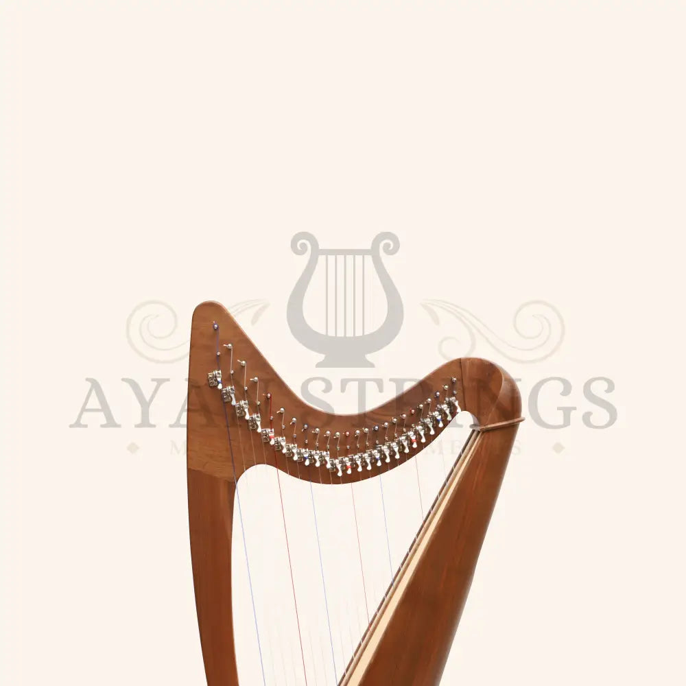 24 String Claddagh Harp Walnut - Stringed Instruments