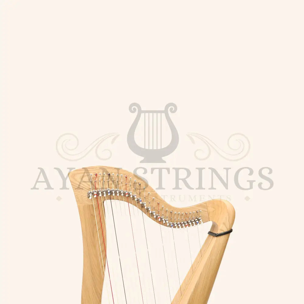 27 String McHugh Harp Round Back - Stringed Instruments