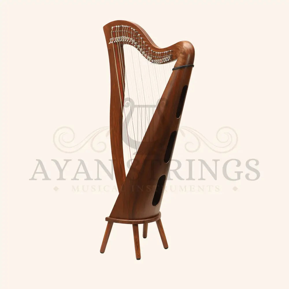 27 String McHugh Harp Round Back - Stringed Instruments