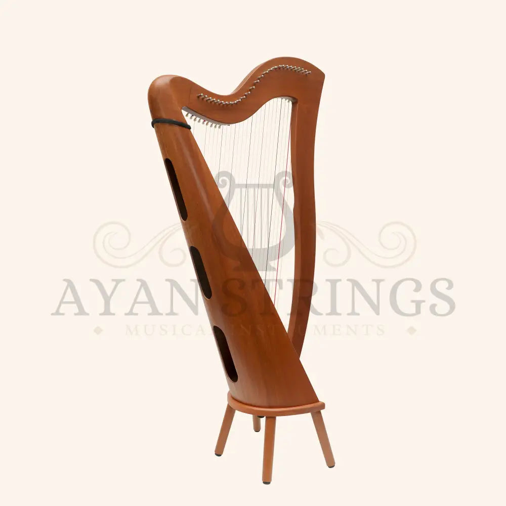 27 String McHugh Harp Round Back - Stringed Instruments