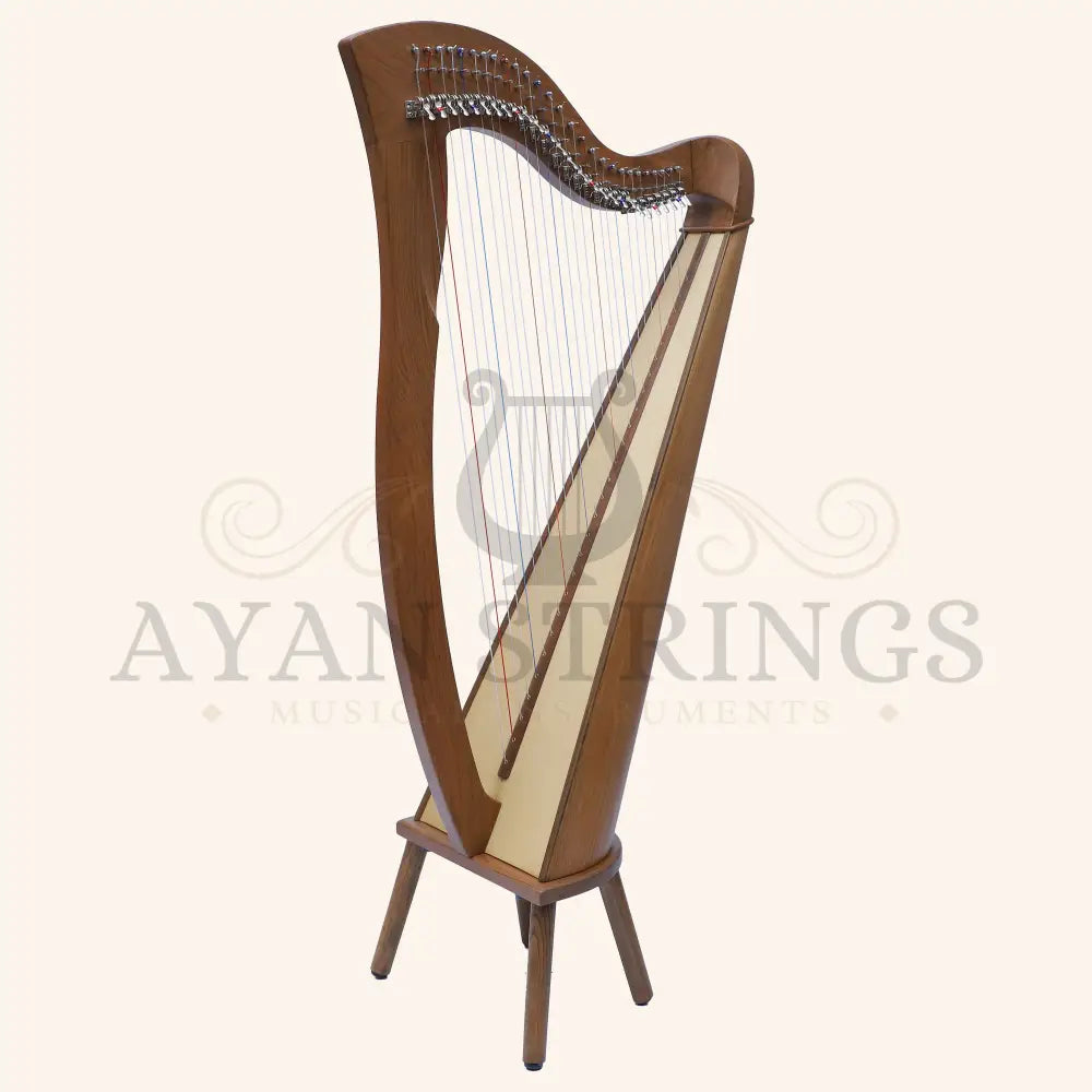 27 String McHugh Harp Round Back - Stringed Instruments