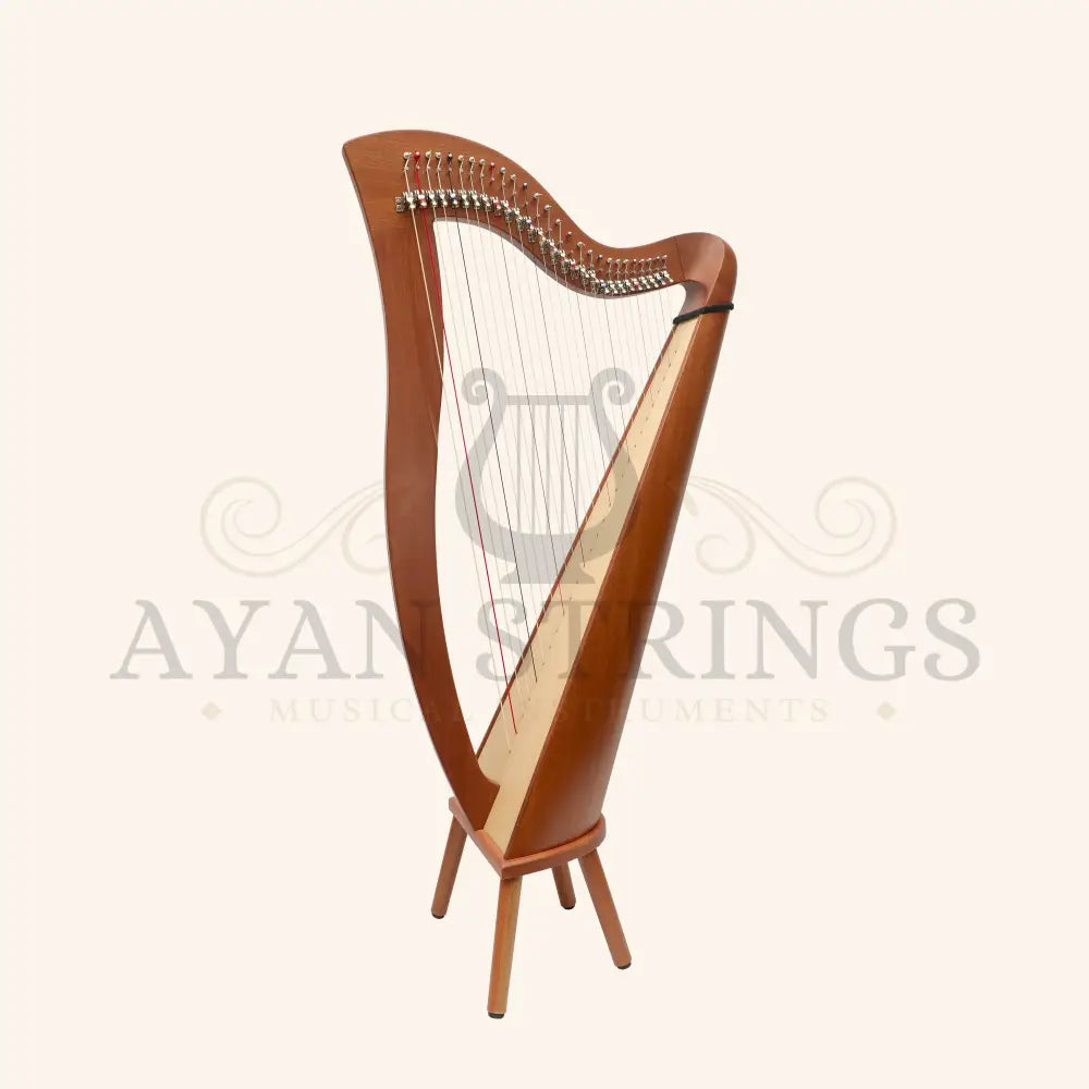 27 String McHugh Harp Round Back - Stringed Instruments