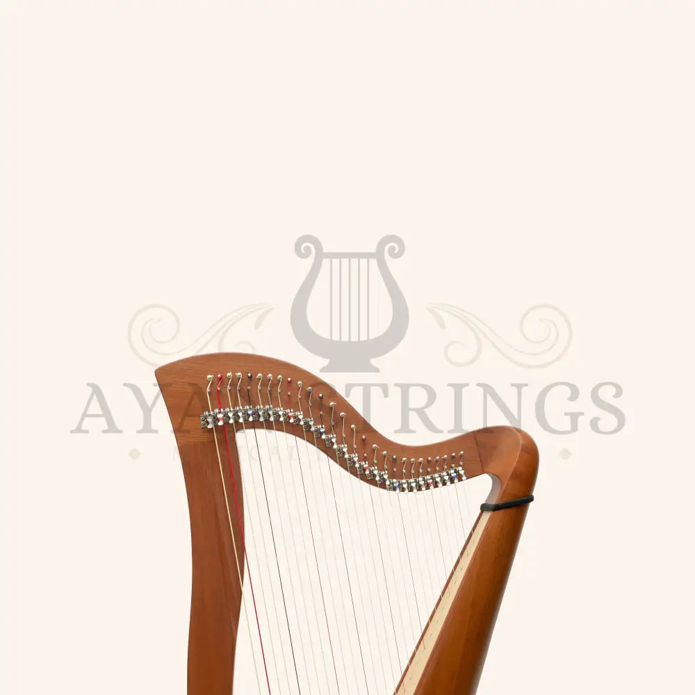27 String McHugh Harp Round Back - Stringed Instruments
