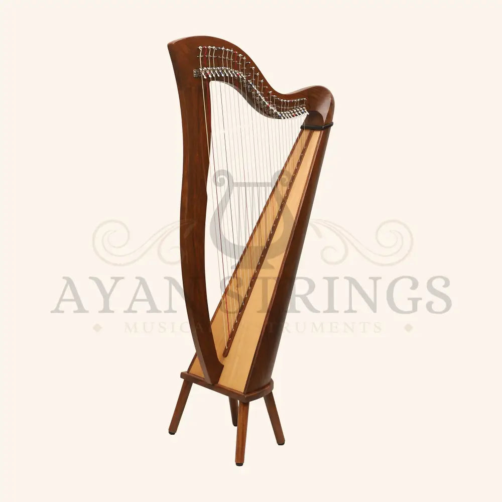 27 String McHugh Harp Round Back - Stringed Instruments