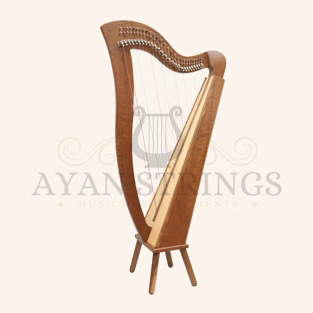27 String Mchugh Harp Square Back - Stringed Instruments