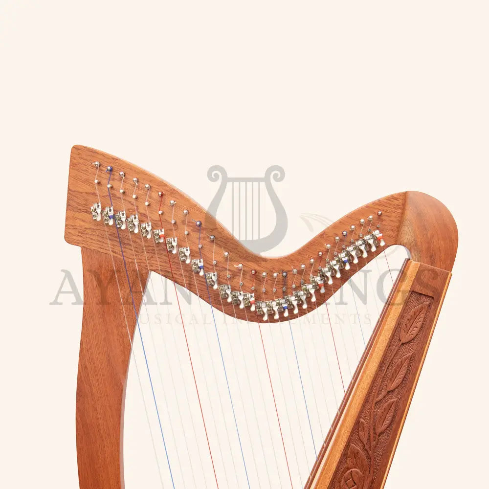 27 String Trinity Celtic Harp - Stringed Instruments