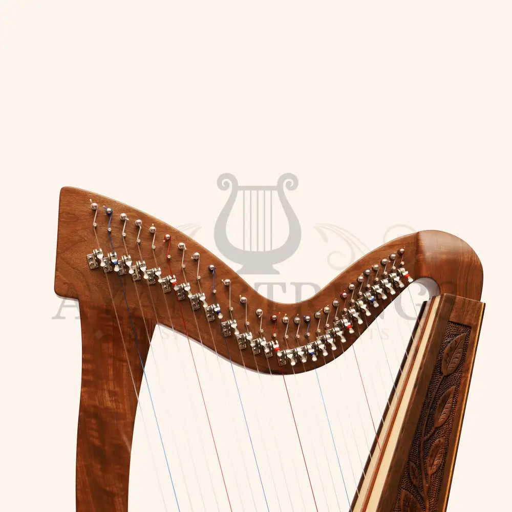 27 String Trinity Celtic Harp - Stringed Instruments