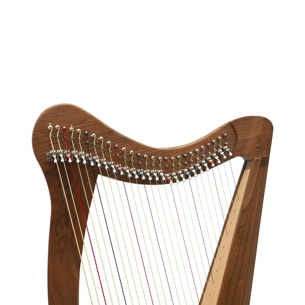 27 String Ard Ri Harp