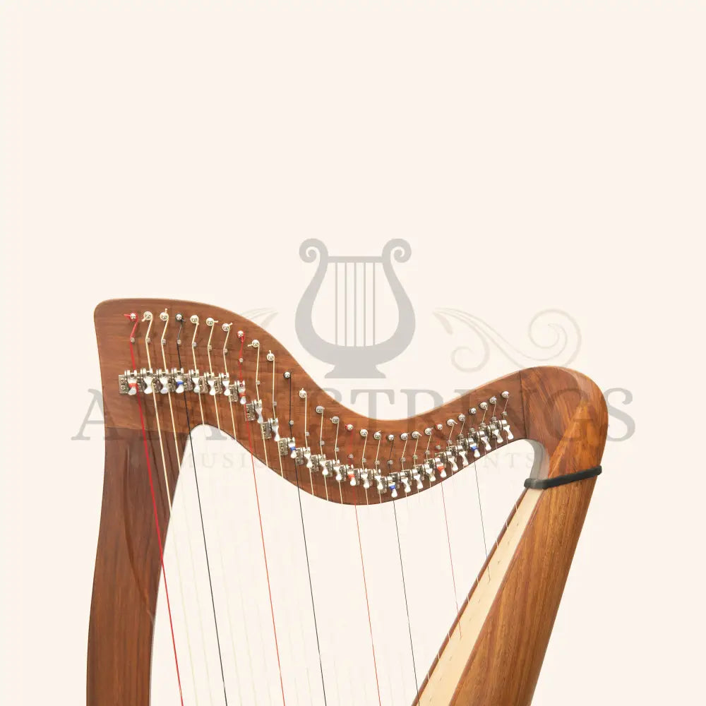 28 String Claddagh Harp - Stringed Instruments