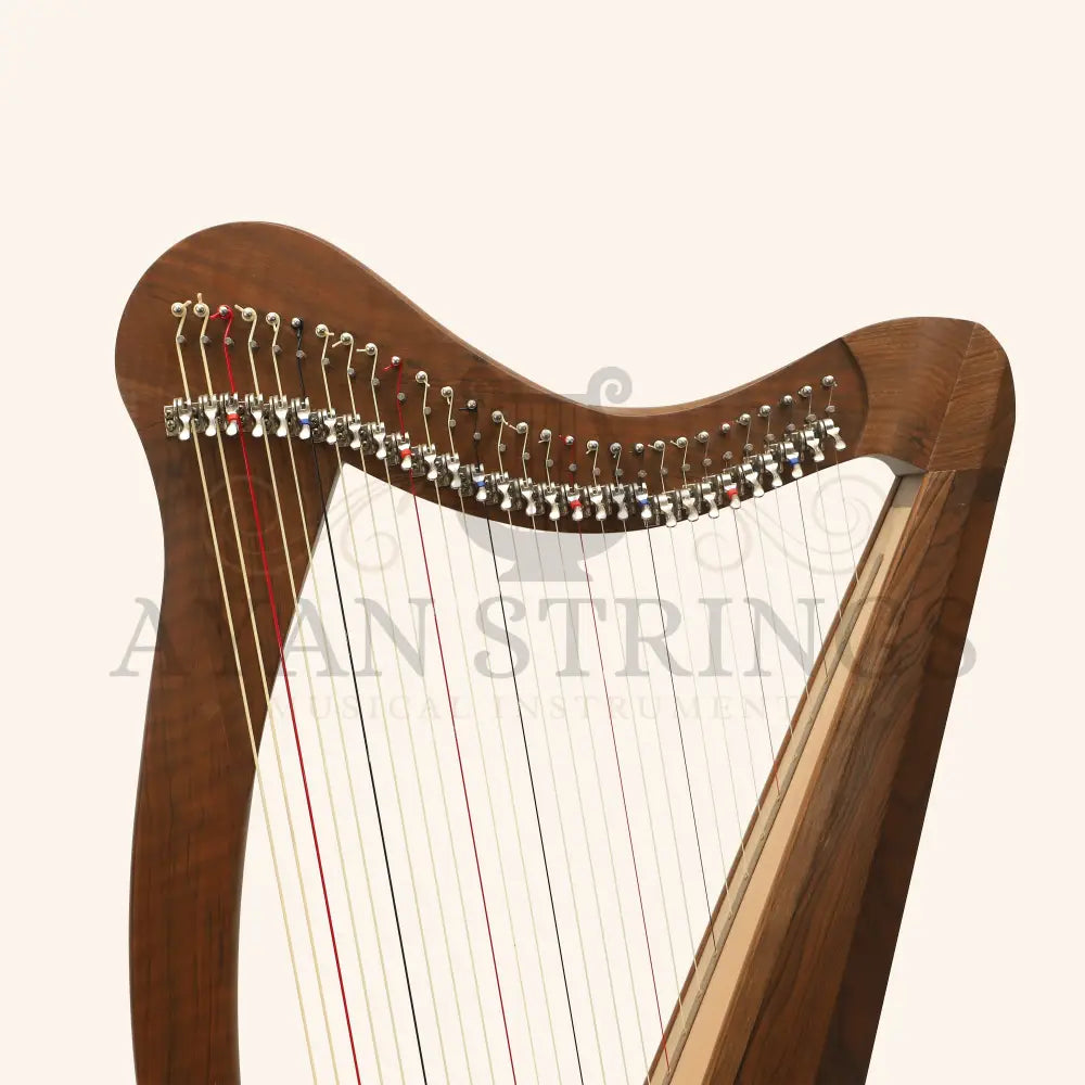 29 String Ard Ri Harp Celtic Harp - Stringed Instruments