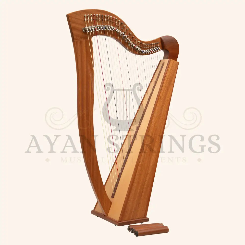 29 String McHugh Harp Square Back - Mahogany - Stringed Instruments