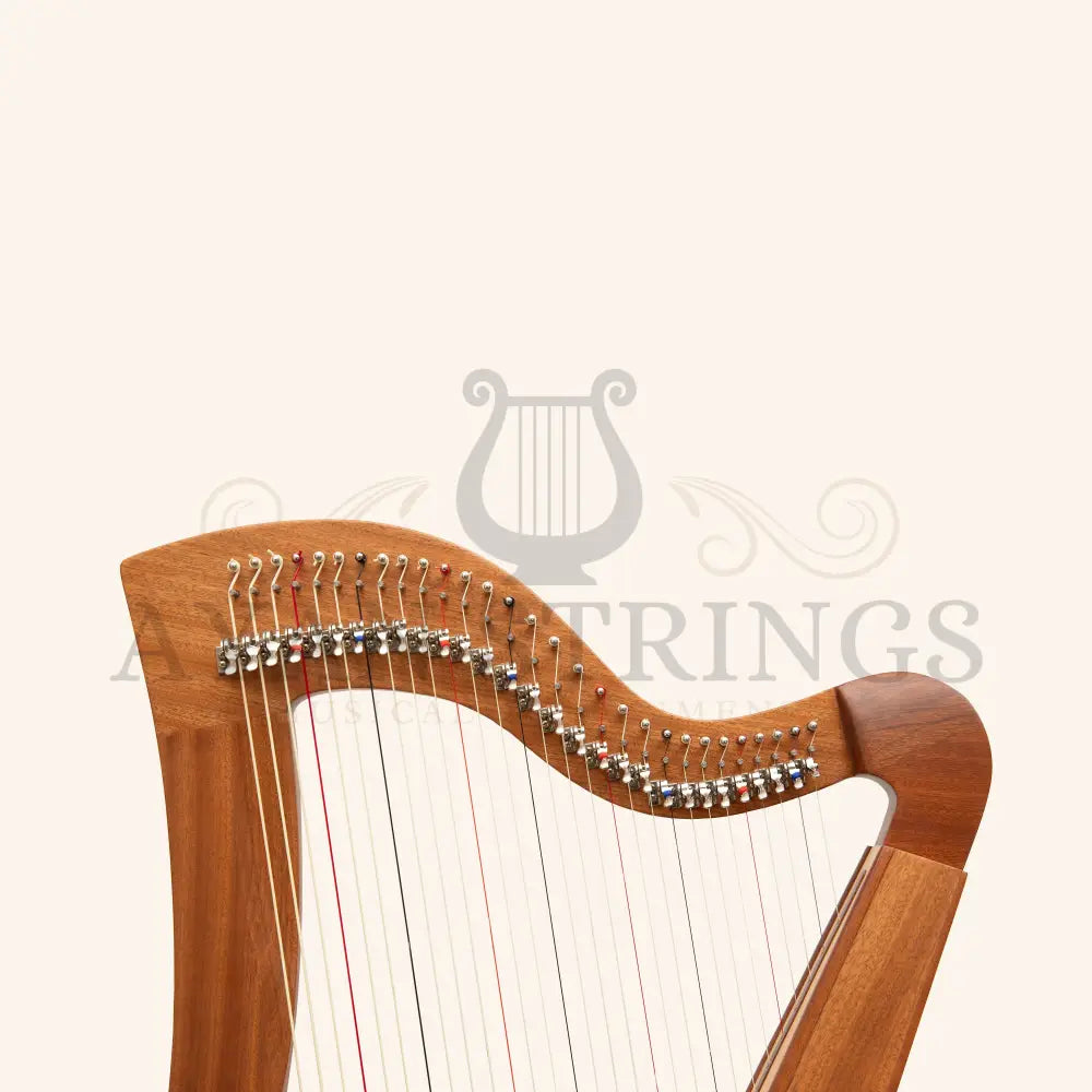 29 String McHugh Harp Square Back - Stringed Instruments