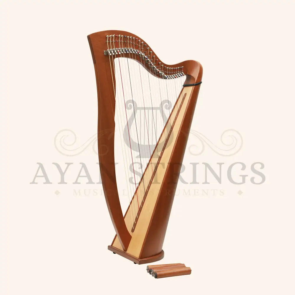 29 Strings McHugh Harp Round Back - Mahogany - Stringed Instruments