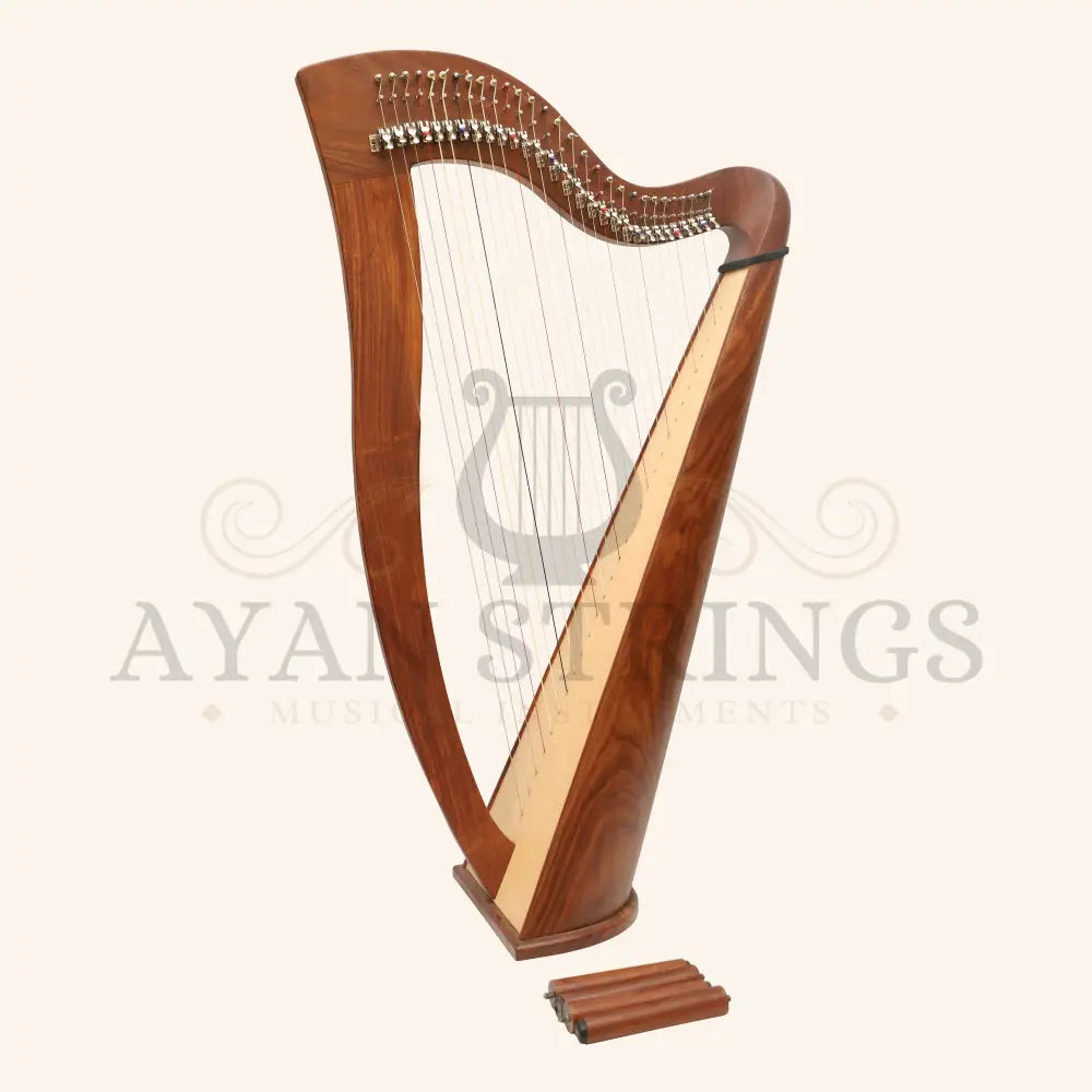 29 Strings McHugh Harp Round Back - Rosewood - Stringed Instruments
