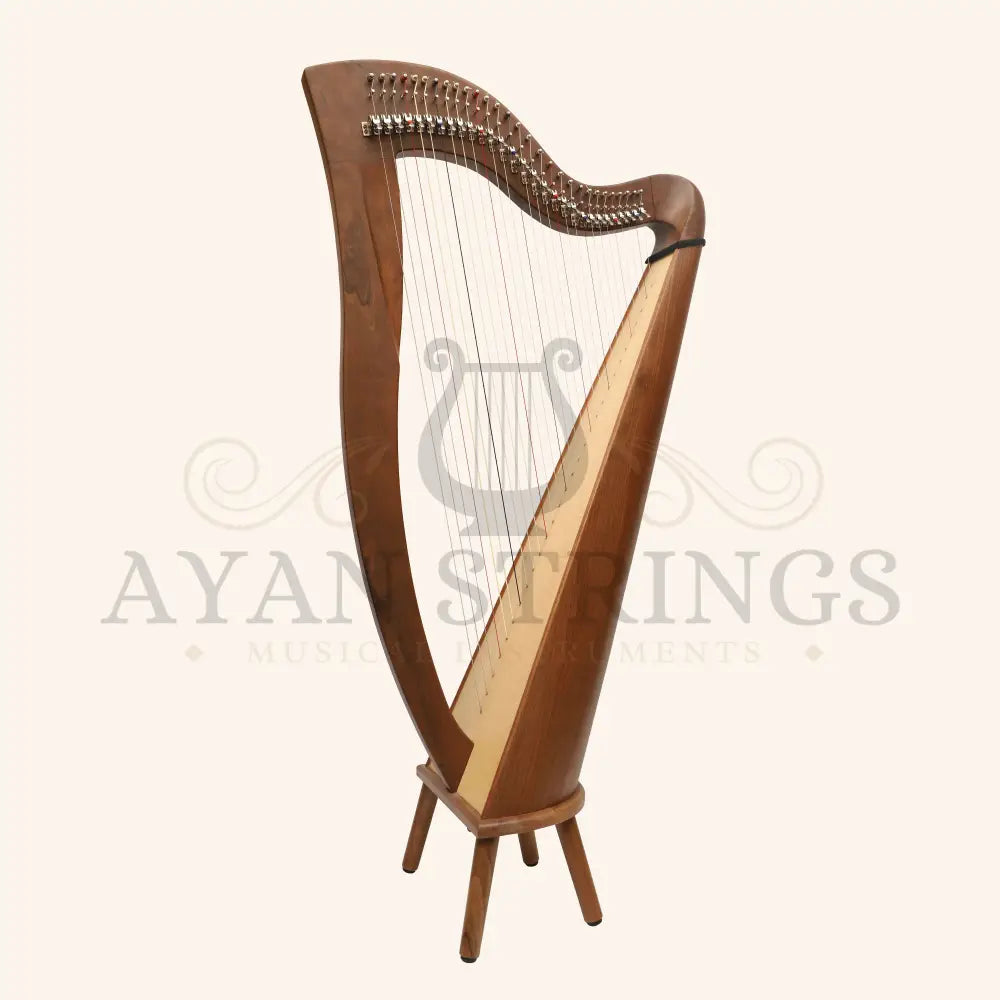 29 Strings McHugh Harp Round Back - Stringed Instruments