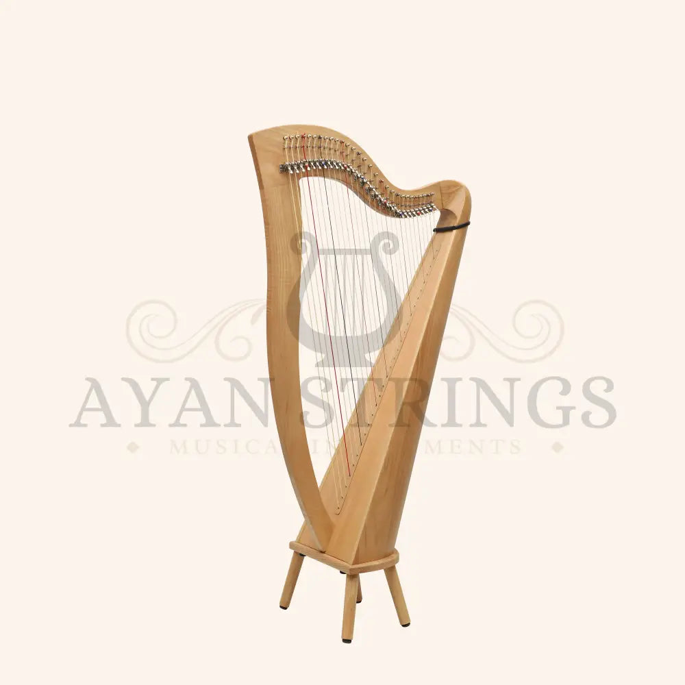 29 Strings McHugh Harp Round Back - Stringed Instruments