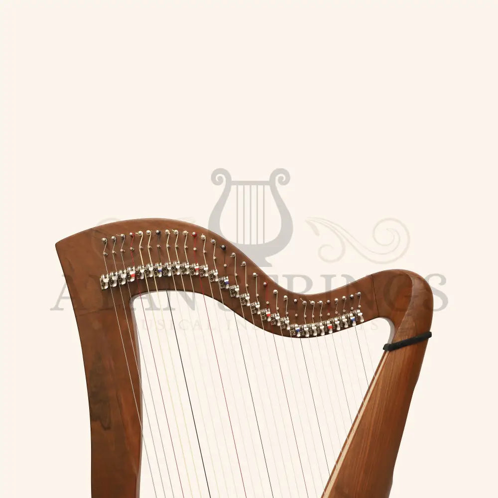 29 Strings McHugh Harp Round Back - Stringed Instruments