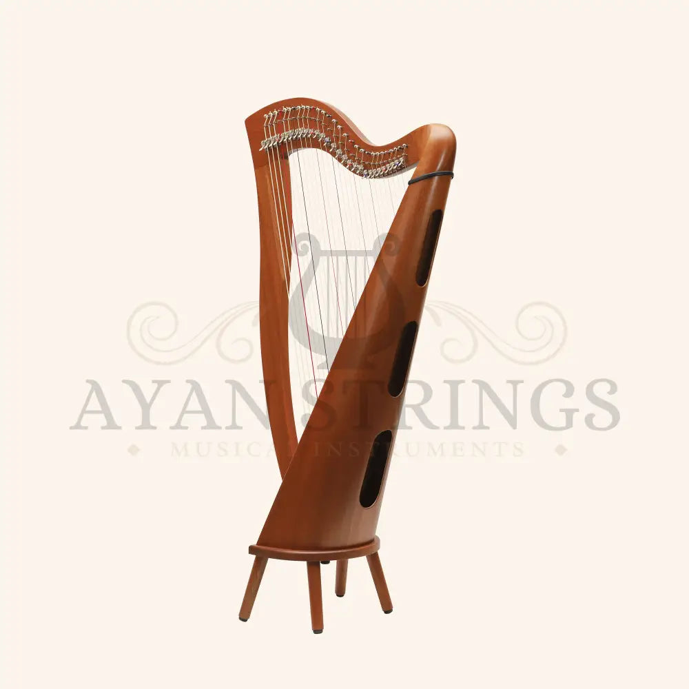29 Strings McHugh Harp Round Back - Stringed Instruments