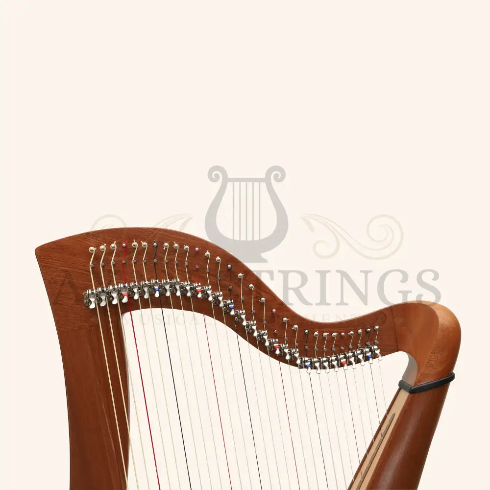 29 Strings McHugh Harp Round Back - Stringed Instruments