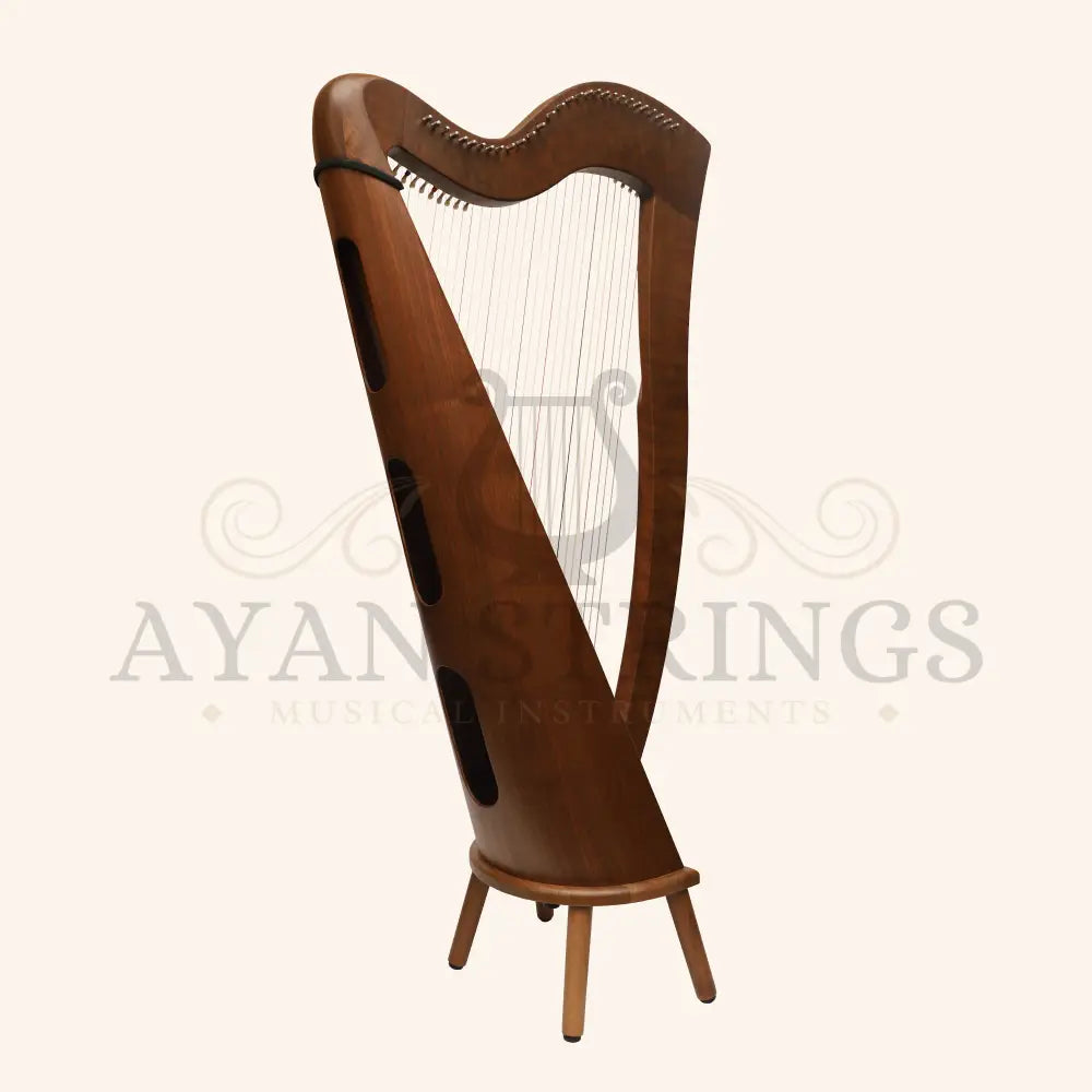 29 Strings McHugh Harp Round Back - Stringed Instruments
