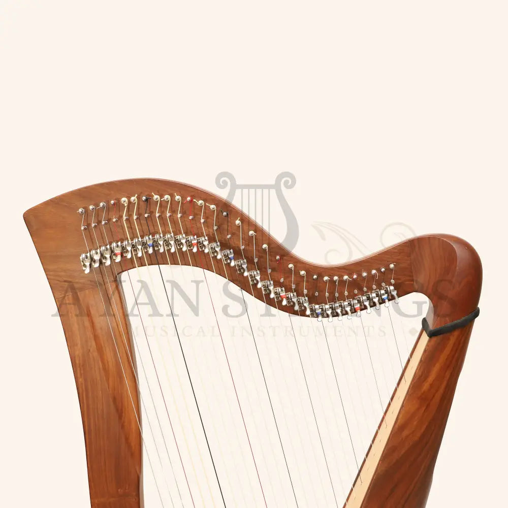 29 Strings McHugh Harp Round Back - Stringed Instruments