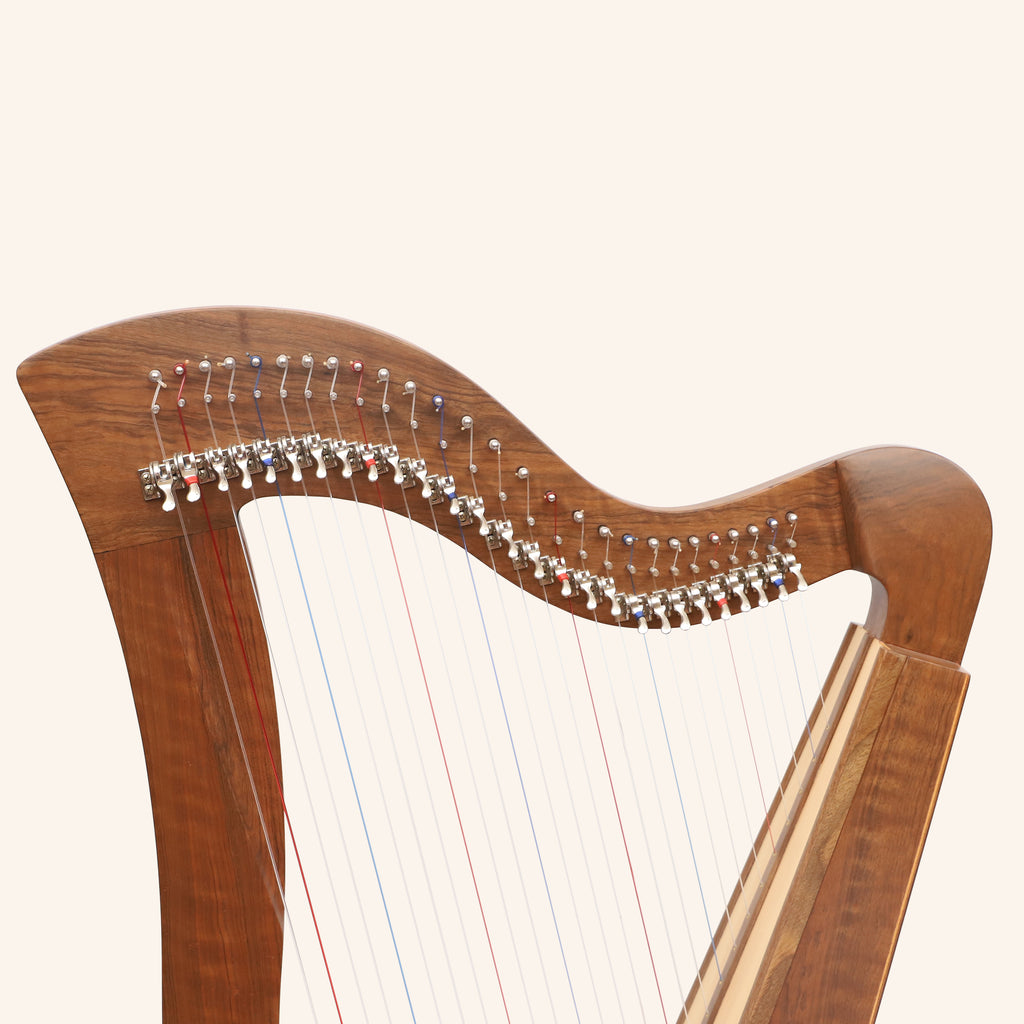 27 String Mchugh Harp Square Back
