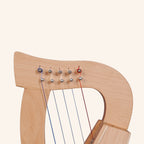 O'Carolan 5 String Beech Wood Plain