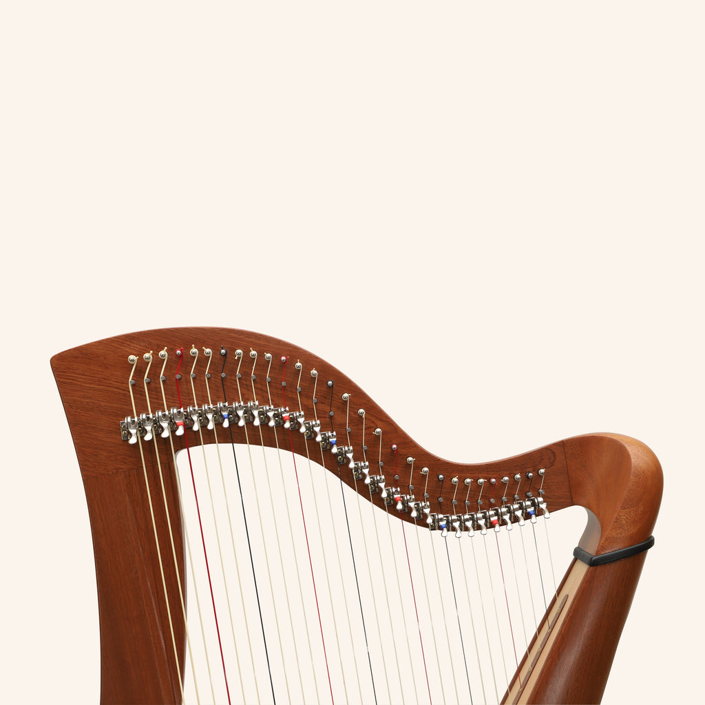 29 Strings McHugh Harp Round Back