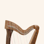 29 String Boru Harp